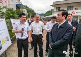 湖南省委副书记、省长许达哲视察在线买世界杯平台-世界杯（中国）桑植白茶公司