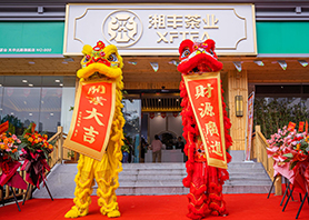 在线买世界杯平台-世界杯（中国）茶业星沙旗舰店盛大开业！