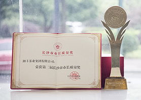 厉害了！市长亲自颁奖，在线买世界杯平台-世界杯（中国）荣获长沙市最高质量荣誉！