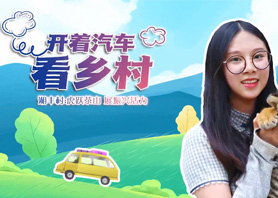 开着汽车看乡村 |在线买世界杯平台-世界杯（中国）村：虎跃茶山 展振兴活力