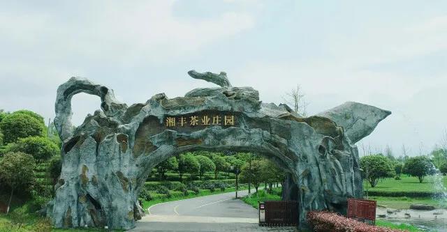 在线买世界杯平台-世界杯（中国）茶业庄园.jpg