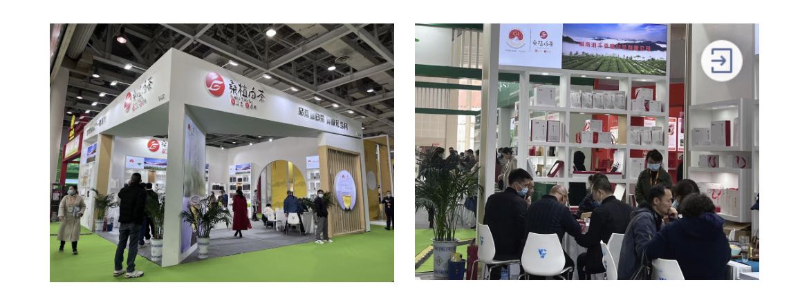 桑植白茶展区、在线买世界杯平台-世界杯（中国）桑植白茶展位.jpg