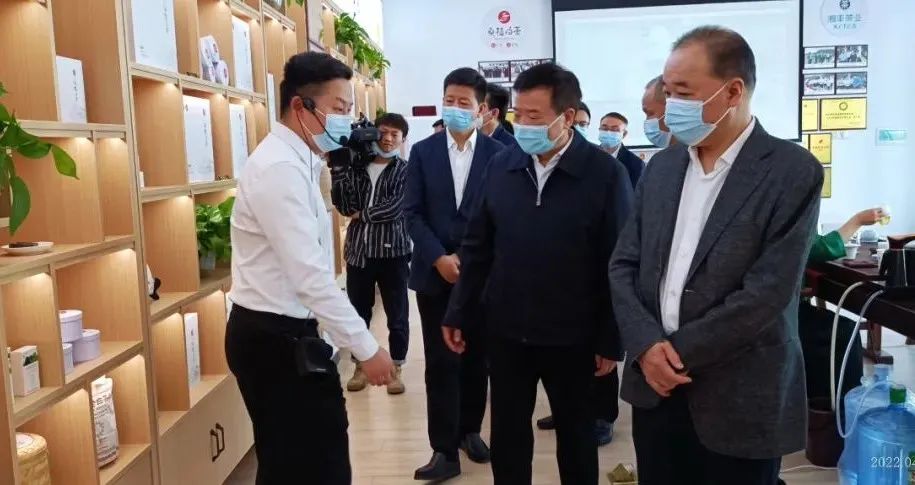 湖南省副省长陈飞带队考察调研在线买世界杯平台-世界杯（中国）桑植白茶公司