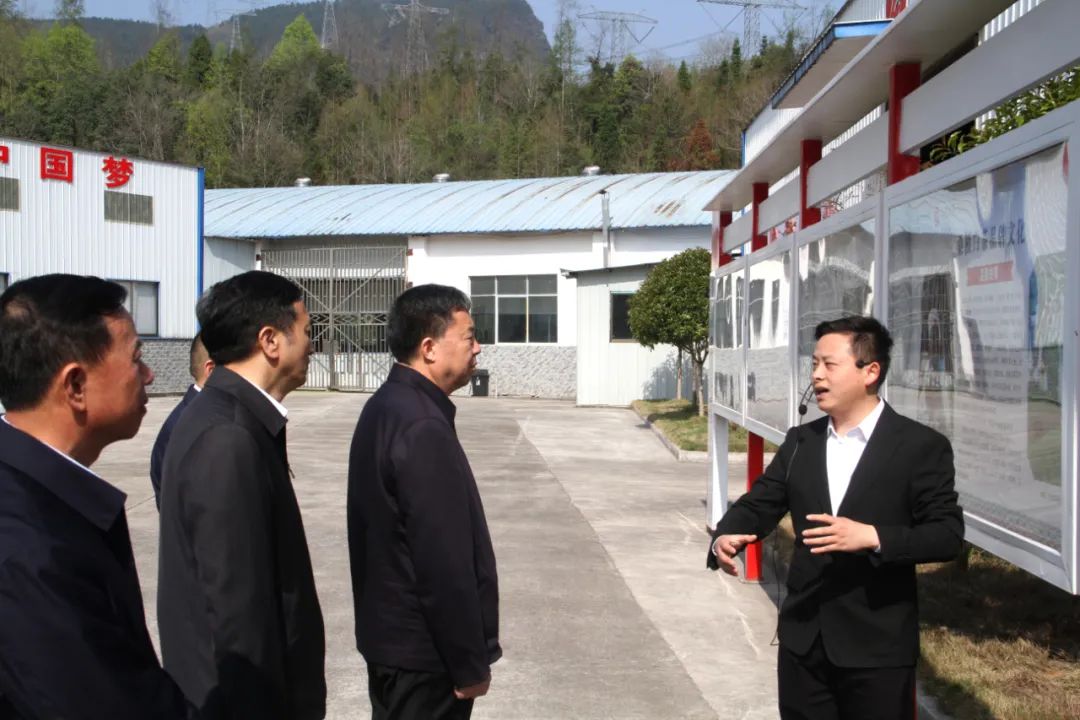 省政协党组书记、主席毛万春调研湖南在线买世界杯平台-世界杯（中国）桑植白茶有限公司