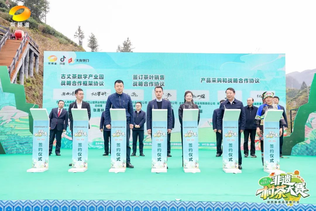 中国黄金茶之乡·非遗村茶大赛隆重举行! 中国黄金茶之乡·非遗村茶大赛隆重举行!