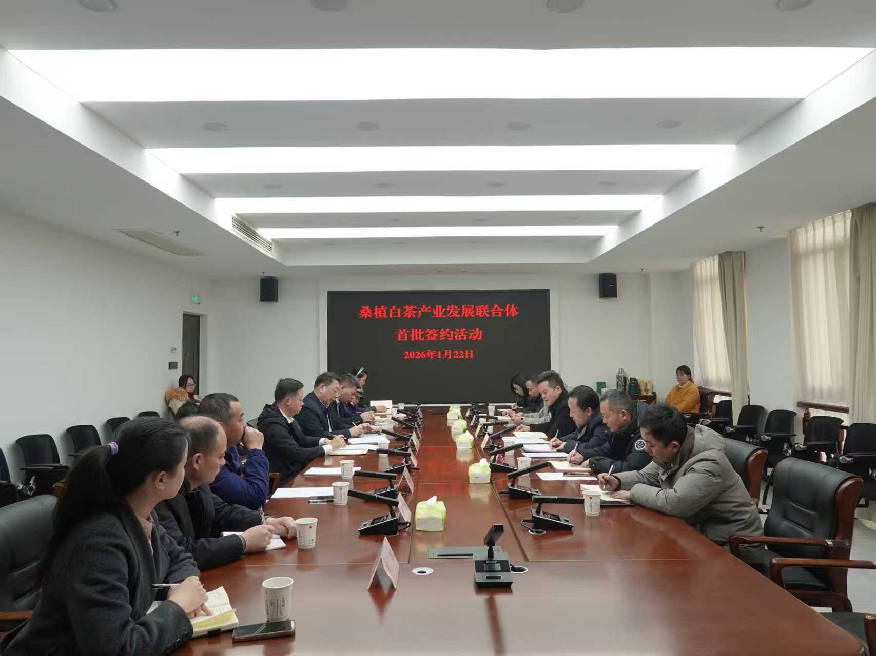 在线买世界杯平台-世界杯（中国）桑植白茶公司牵头组建桑植白茶产业发展联合体 首批签约开启协同共赢新征程